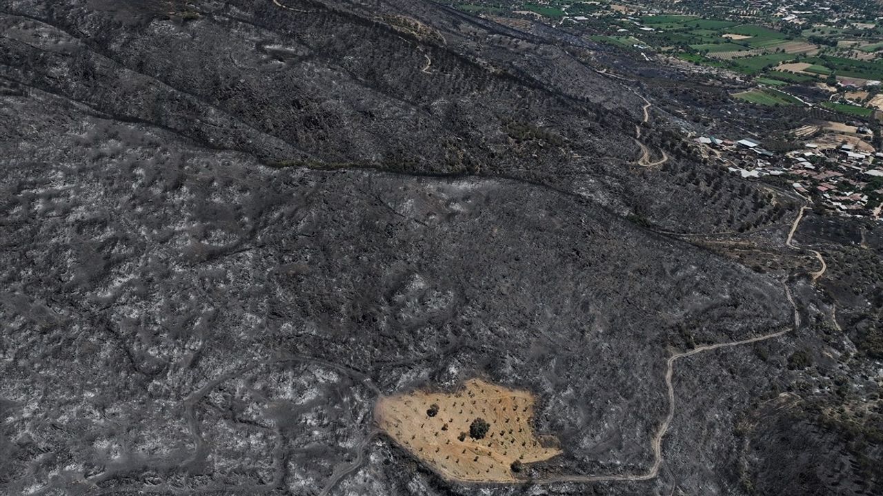 İzmir'de Yangından Korunan Bahçe