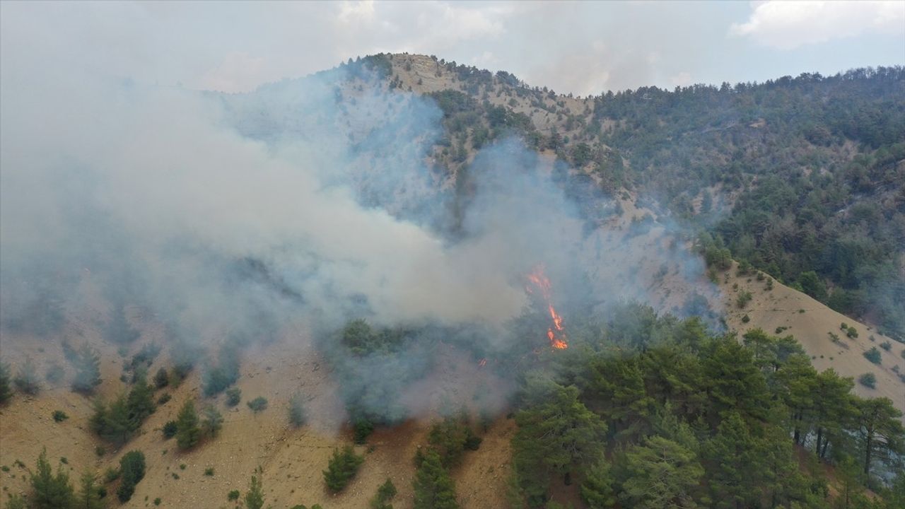 Kahramanmaraş Orman Yangınında Müdahale 3. Güne Girdi