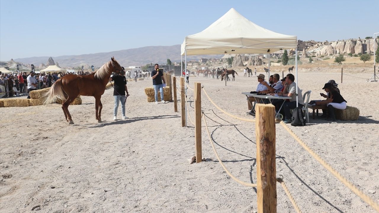 Kapadokya'da At Güzellik Yarışması Coşkusu
