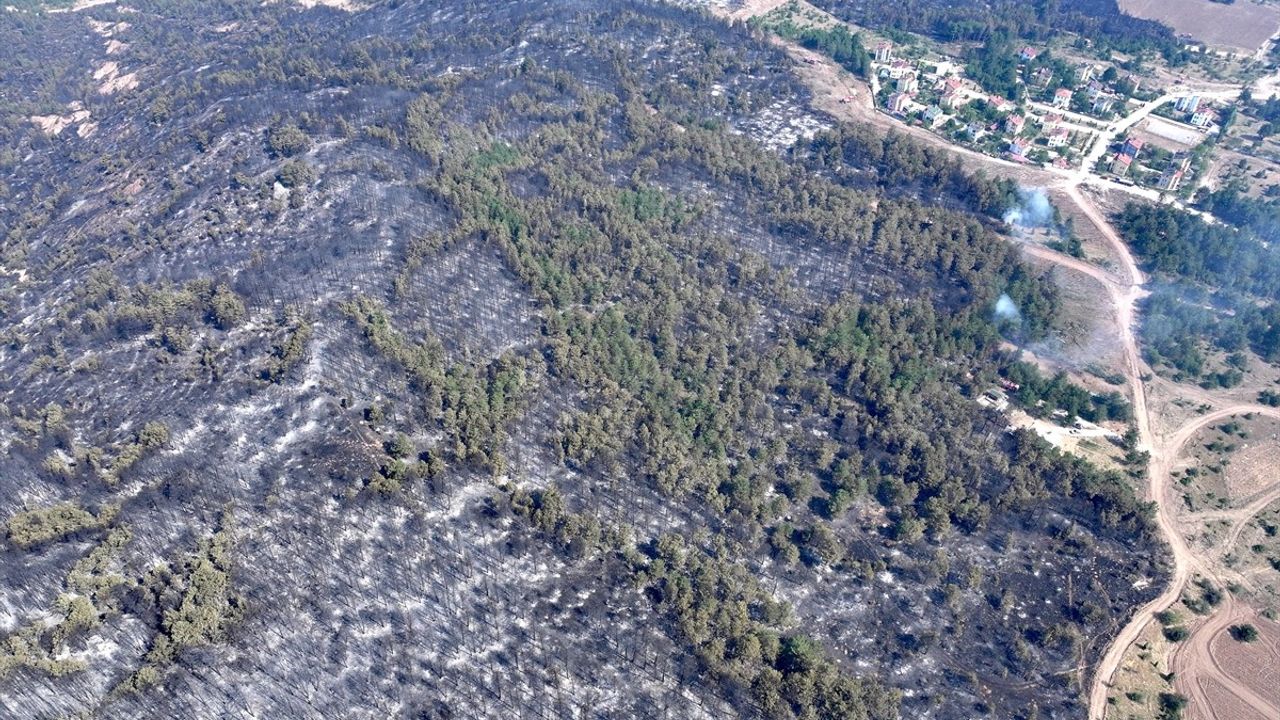 Karabük'te Orman Yangını Sebebiyle Mahalleler ve Bir Köy Tahliye Edildi