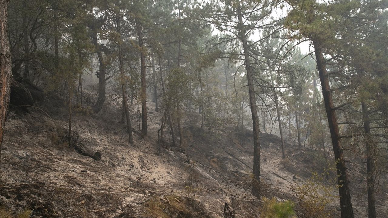 Karabük'te Orman Yangınlarına Müdahale Devam Ediyor