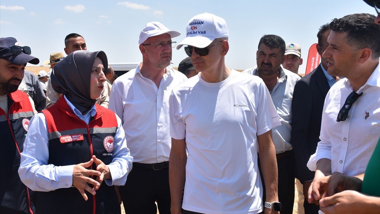 Karaman'da Yerli Tohumlu Buğday Hasadı Başarıyla Gerçekleşti