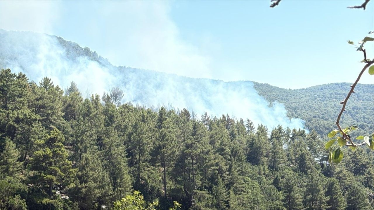 Kaş'taki Orman Yangınına Hızla Müdahale Başlatıldı
