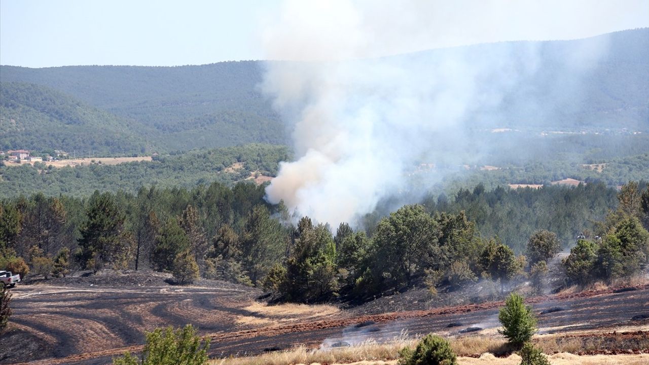 Kastamonu'da Tarım Arazisinden Ormana Sıçrayan Yangın Kontrol Altına Alınıyor