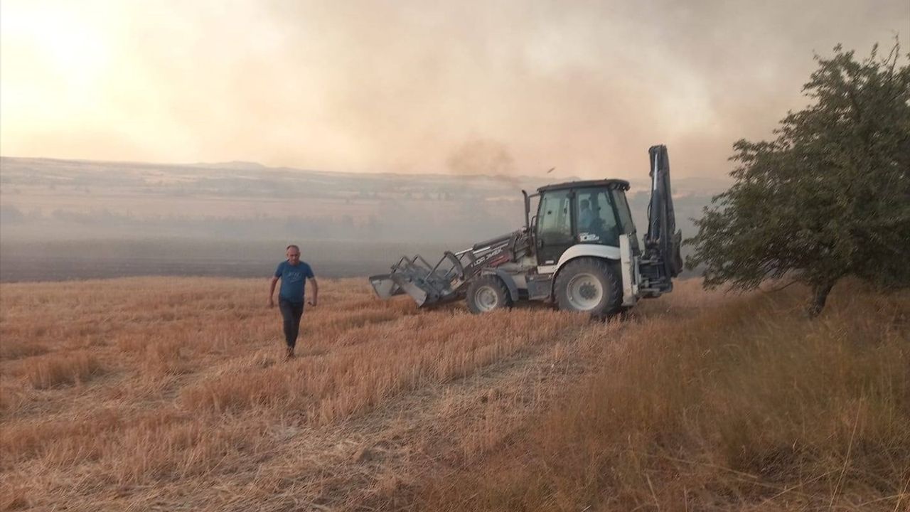 Kırklareli'nde Tarım Arazisinde Yangın: 250 Dekar Zarar