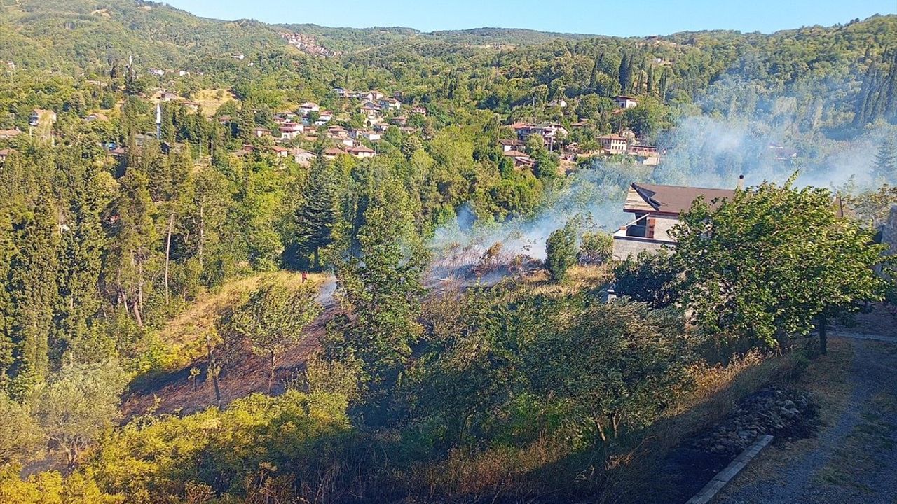 Kocaeli'de Orman Yangınına Müdahale