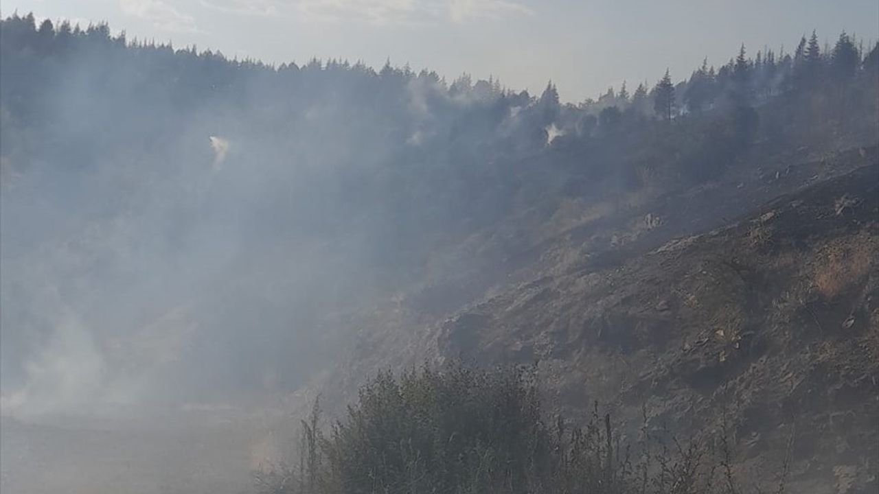 Malatya'daki Orman Yangınları Kontrol Altına Alınıyor