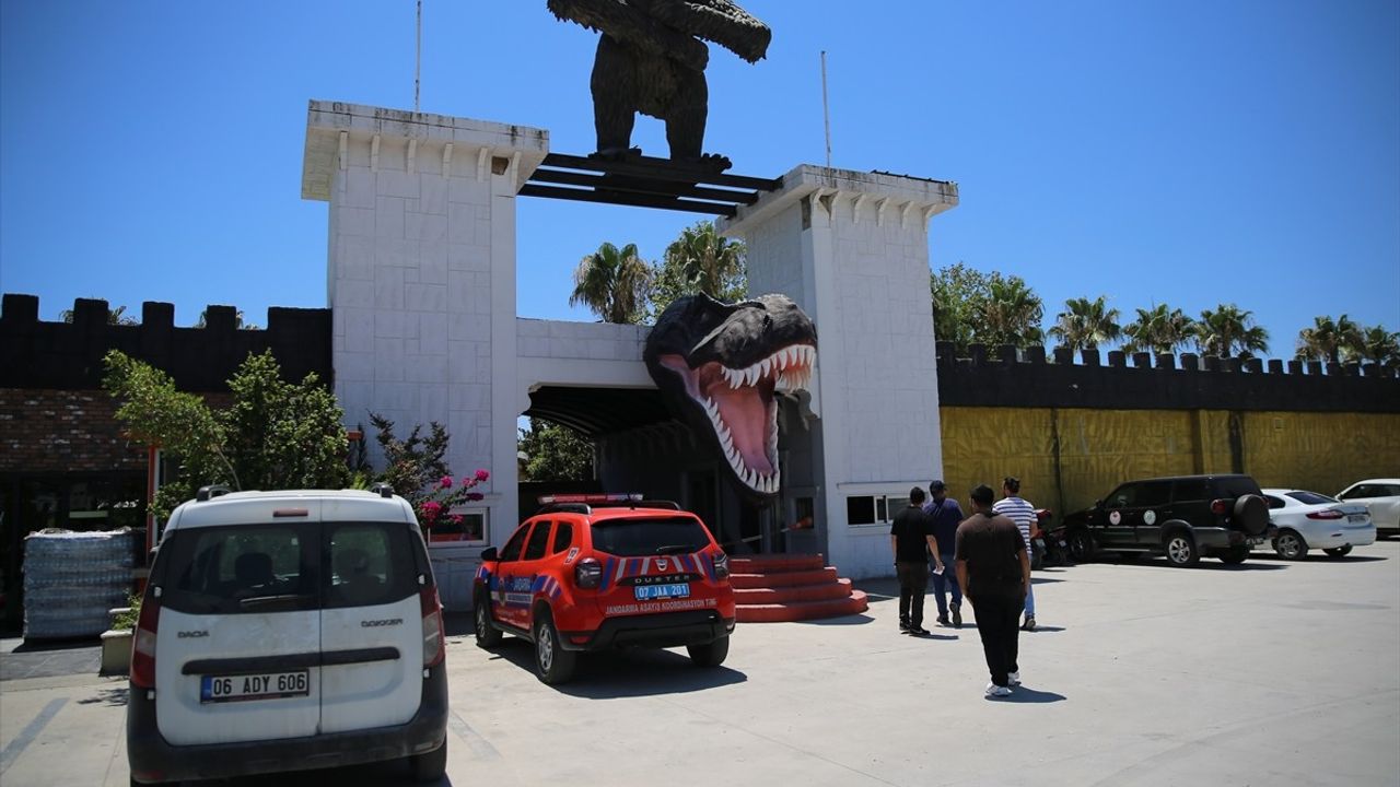 Manavgat'ta Aslan Kaçışı: Hayvan Parkında Denetim Yapıldı