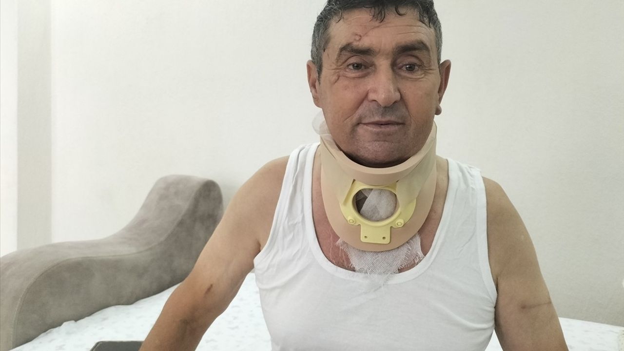 Manavgatlı Çiftçi Aslanın Öldürülmesine Üzüntüyle Bakıyor