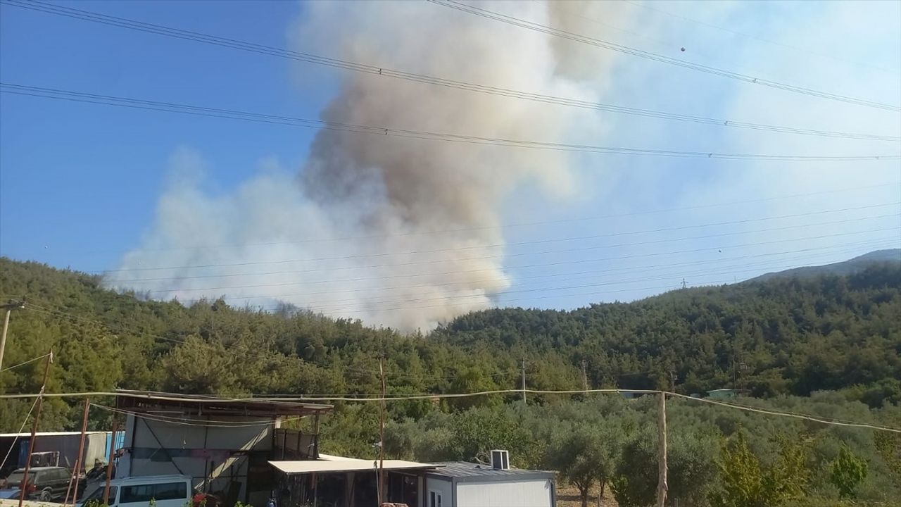Manisa'da Orman Yangını Kontrol Altına Alınıyor