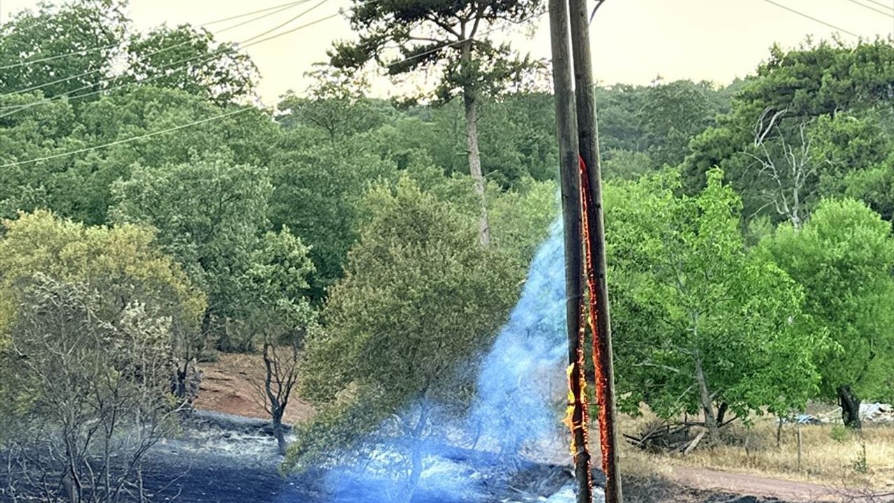 Manisa'da Orman Yangınına Müdahale Devam Ediyor