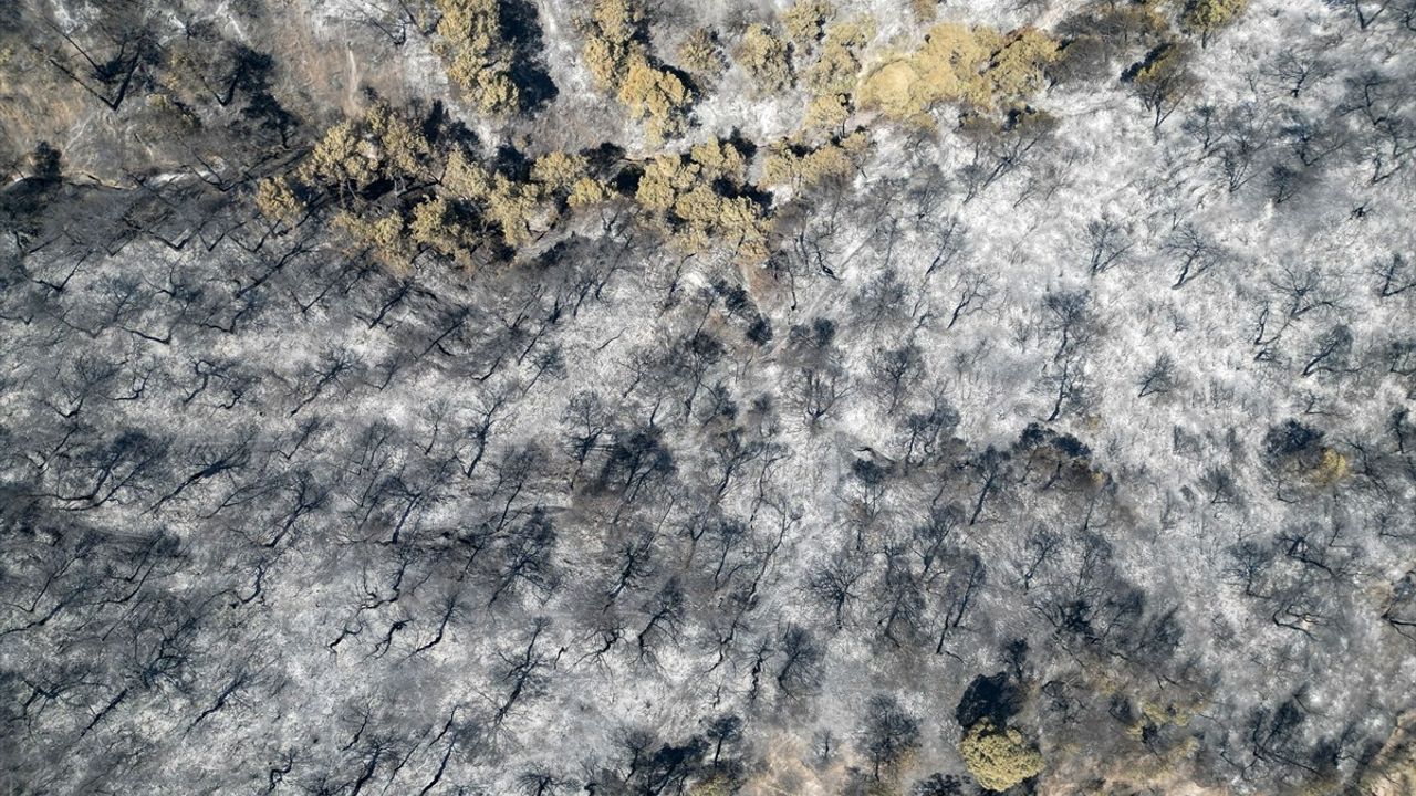 Manisa'daki Orman Yangınlarının Havadan Görüntüleri