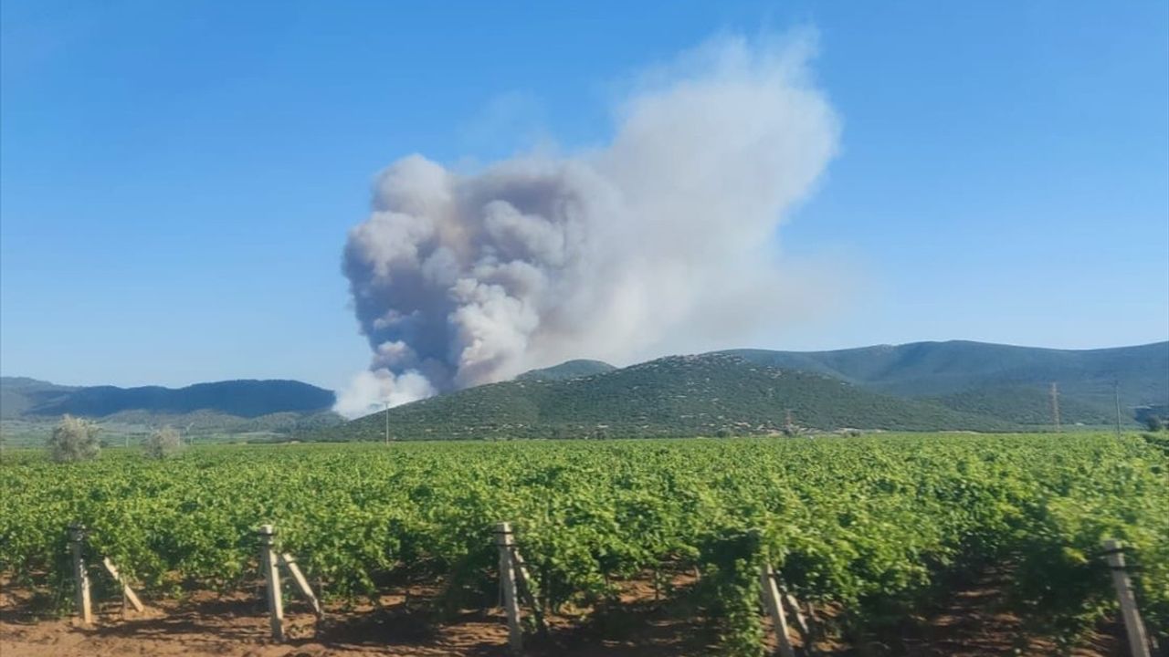 Manisa Saruhanlı'da Orman Yangınına Hızlı Müdahale