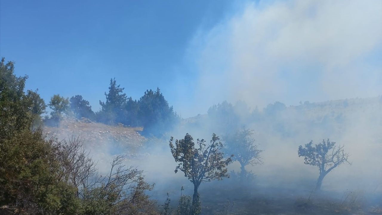 Mersin'deki Tarım Arazisinde Yangın Kontrol Altına Alındı
