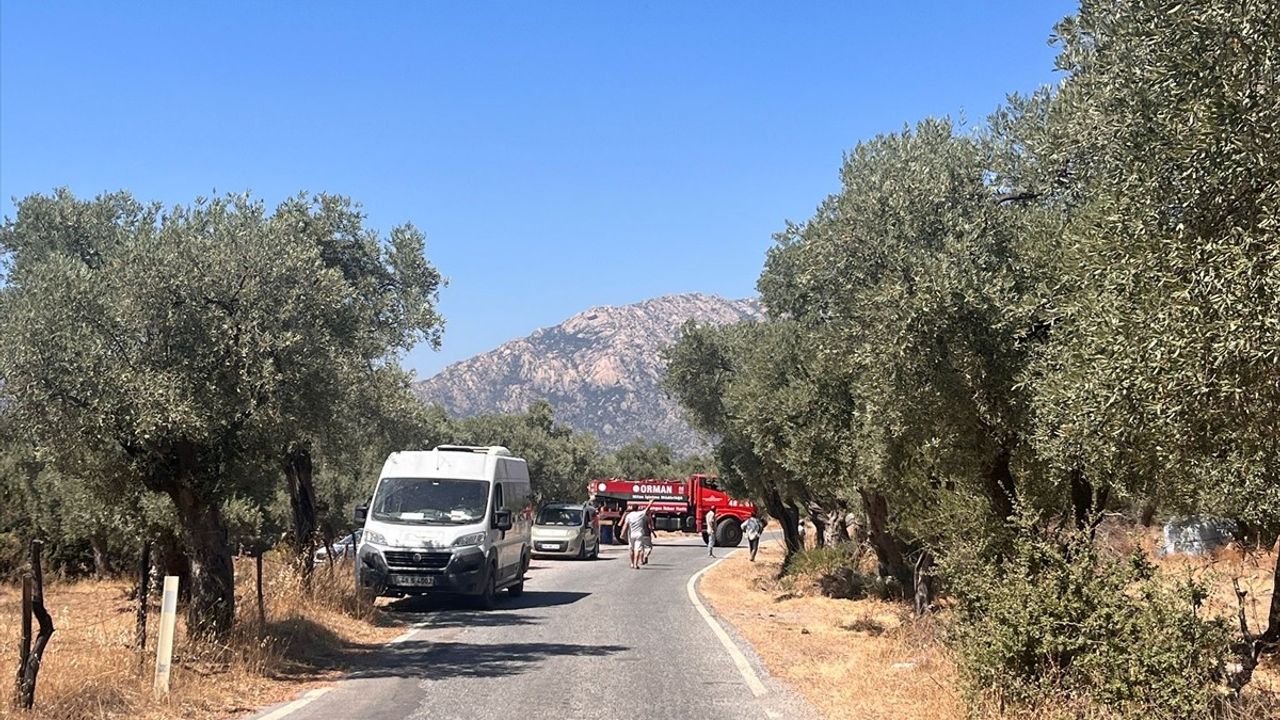 Milas'taki Orman Yangınına Sürekli Müdahale
