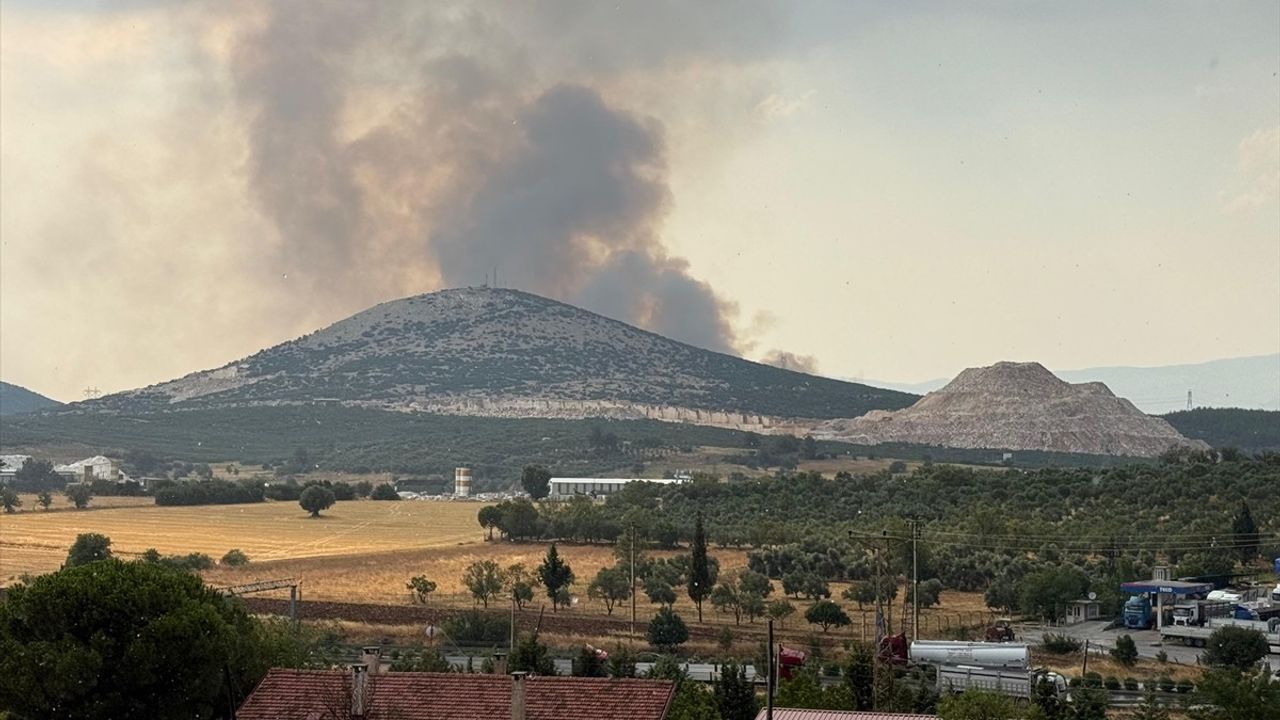 Muğla'da Orman Yangını Mücadelesi