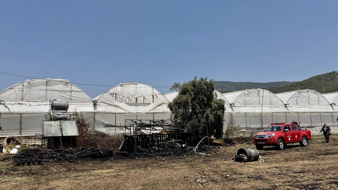 Muğla'da Otluk Alanda Yangın Kontrol Altına Alındı
