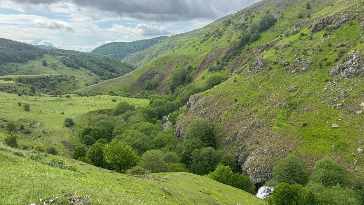 Ordu: Karadeniz'in Doğa ve Tarih Cenneti