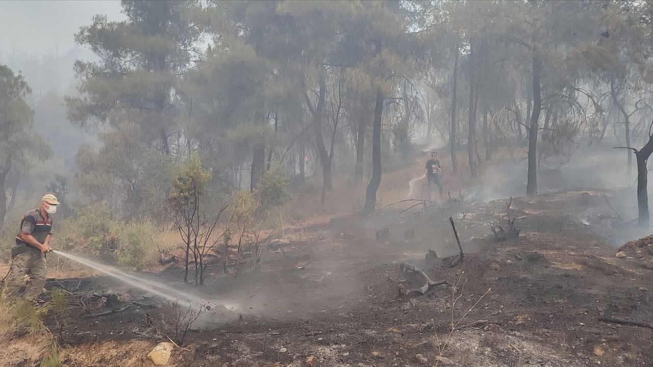 Sakarya-Bilecik Orman Yangınında Son Durum