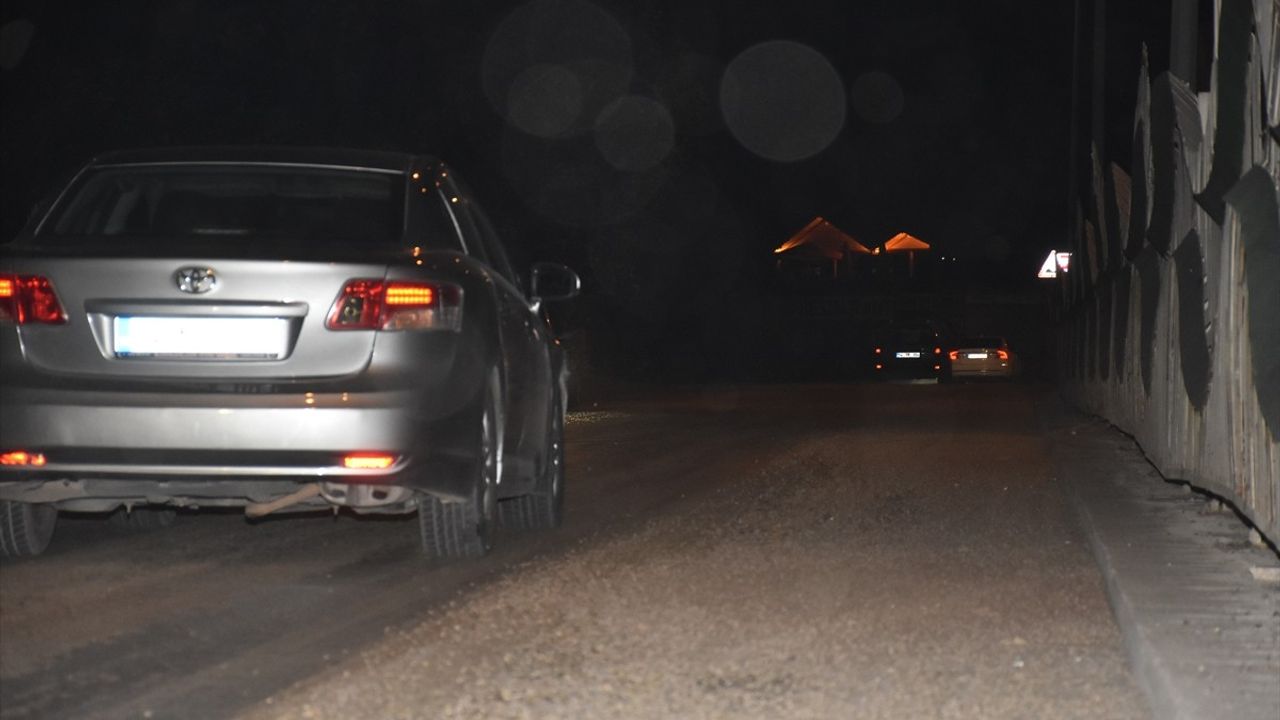 Sakarya'da Bir Gün Sineklerinin "Ölüm Uçuşu"