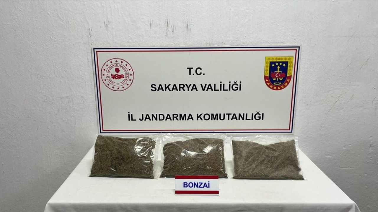 Sakarya'da Uyuşturucu Operasyonu: 2,75 Kilo Sentetik Madde Ele Geçirildi