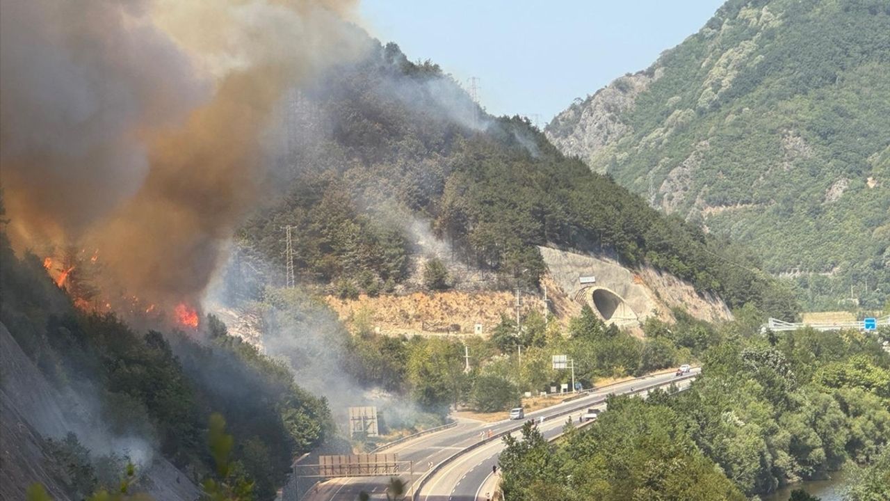 Sakarya'daki Orman Yangınına Müdahale Ediliyor
