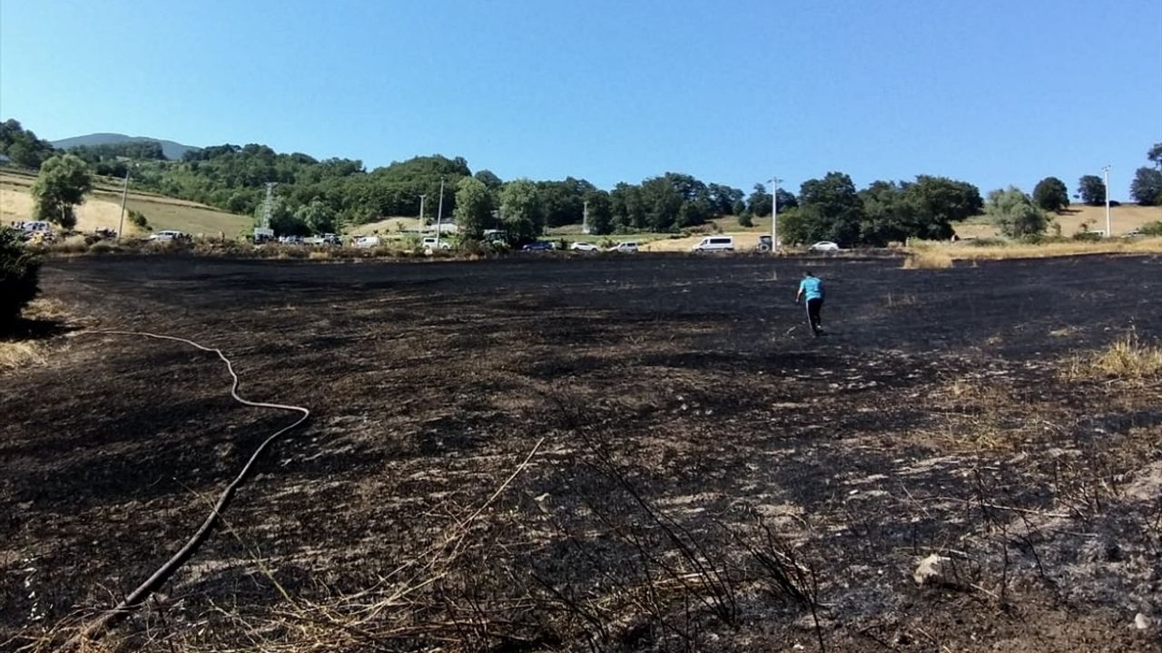 Samsun'da Tarım Arazisinde Yangın: 16 Dönüm Zarar Gördü