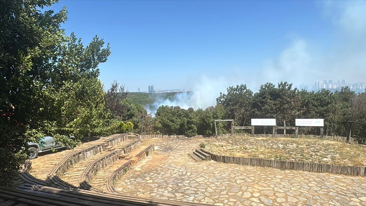 Sultangazi'de Orman Yangınına Hızla Müdahale Ediliyor