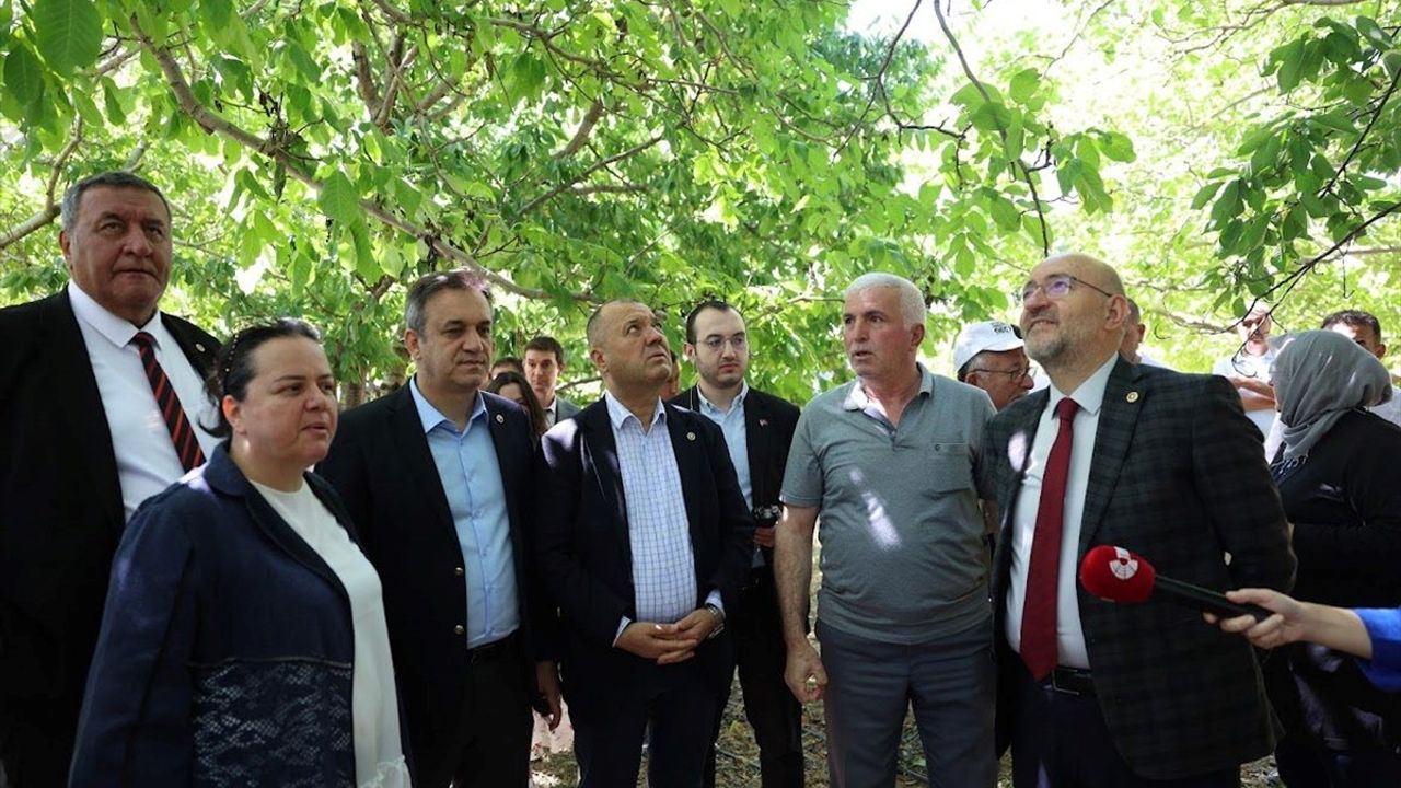 TBMM Komisyonu Denizli'de Zirai Don İncelemesi Gerçekleştirdi