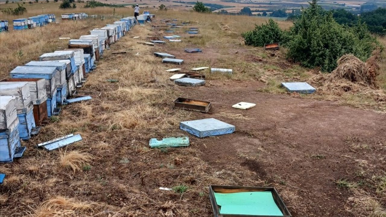 Tekirdağ'da Dolu Zararları Tarım Alanlarını Vurdu