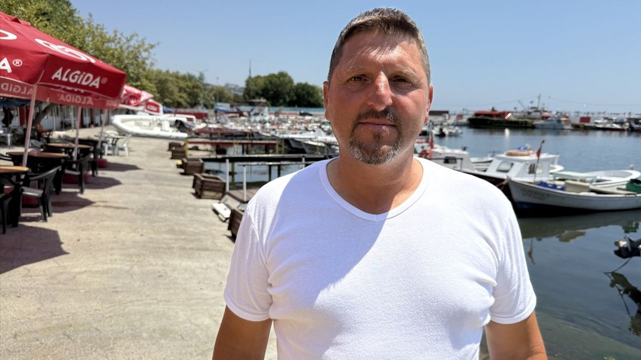 Tekirdağ'da İstavrit Tezgahları Doldurdu