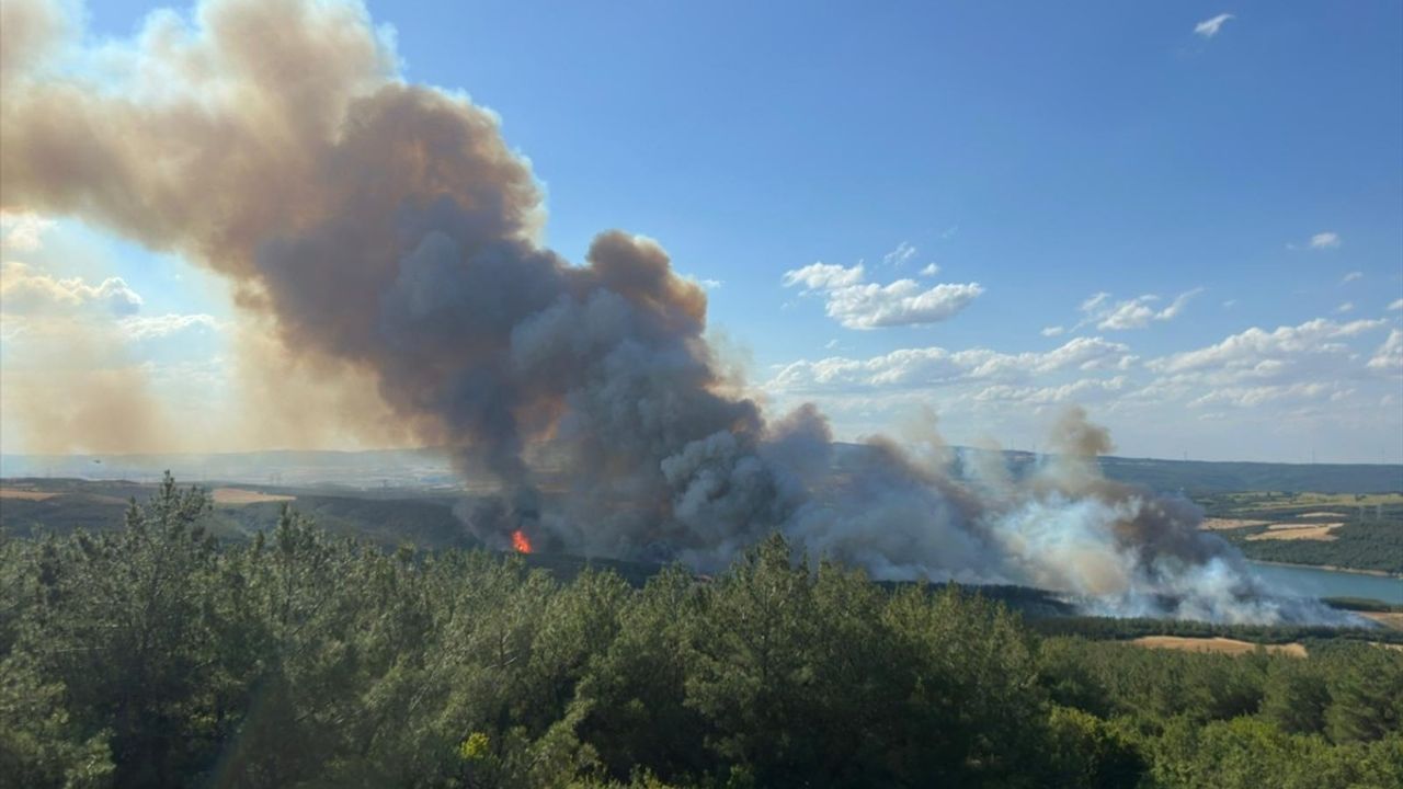 Tekirdağ'da Orman Yangınına Hızla Müdahale