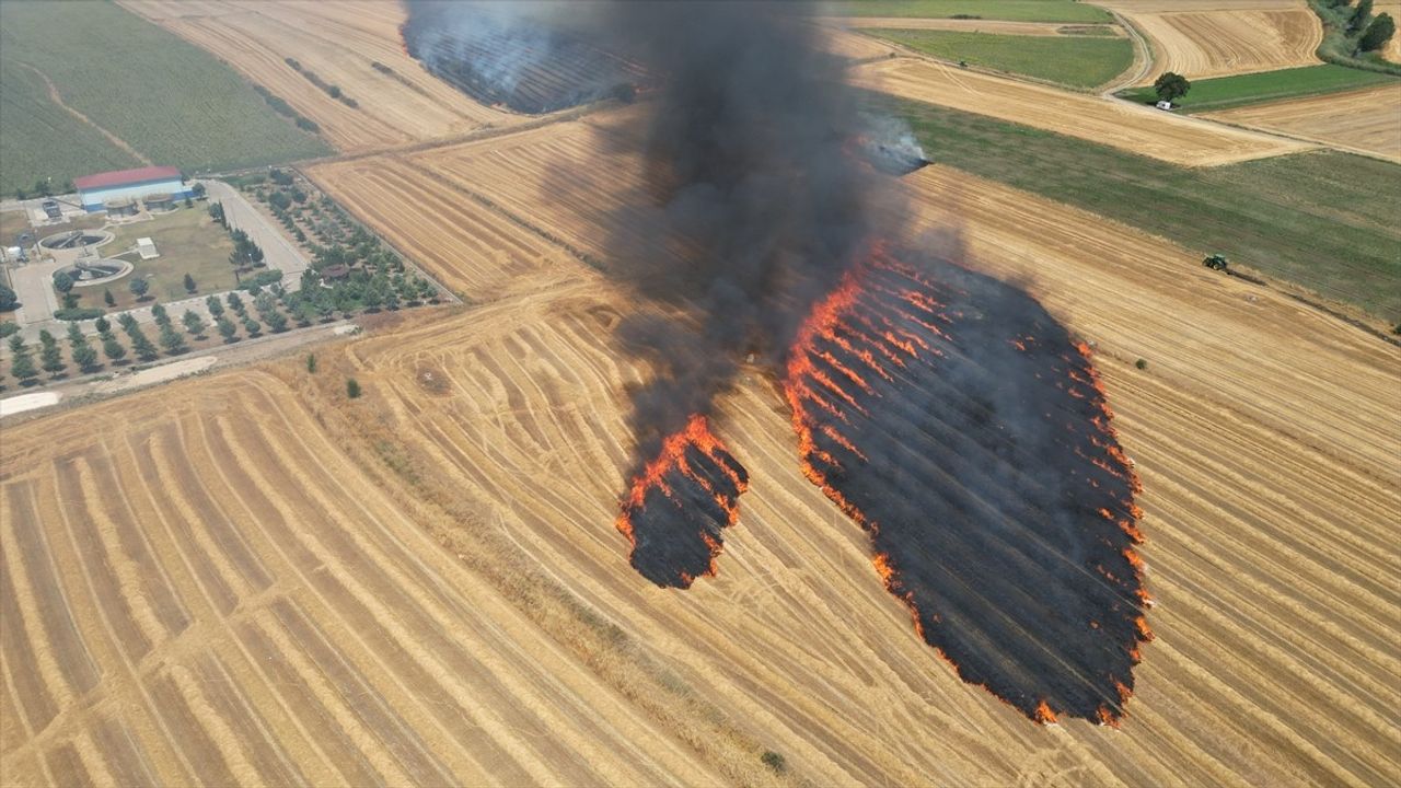 Tekirdağ'da Tarım Alanında Yangın Kontrol Altına Alındı