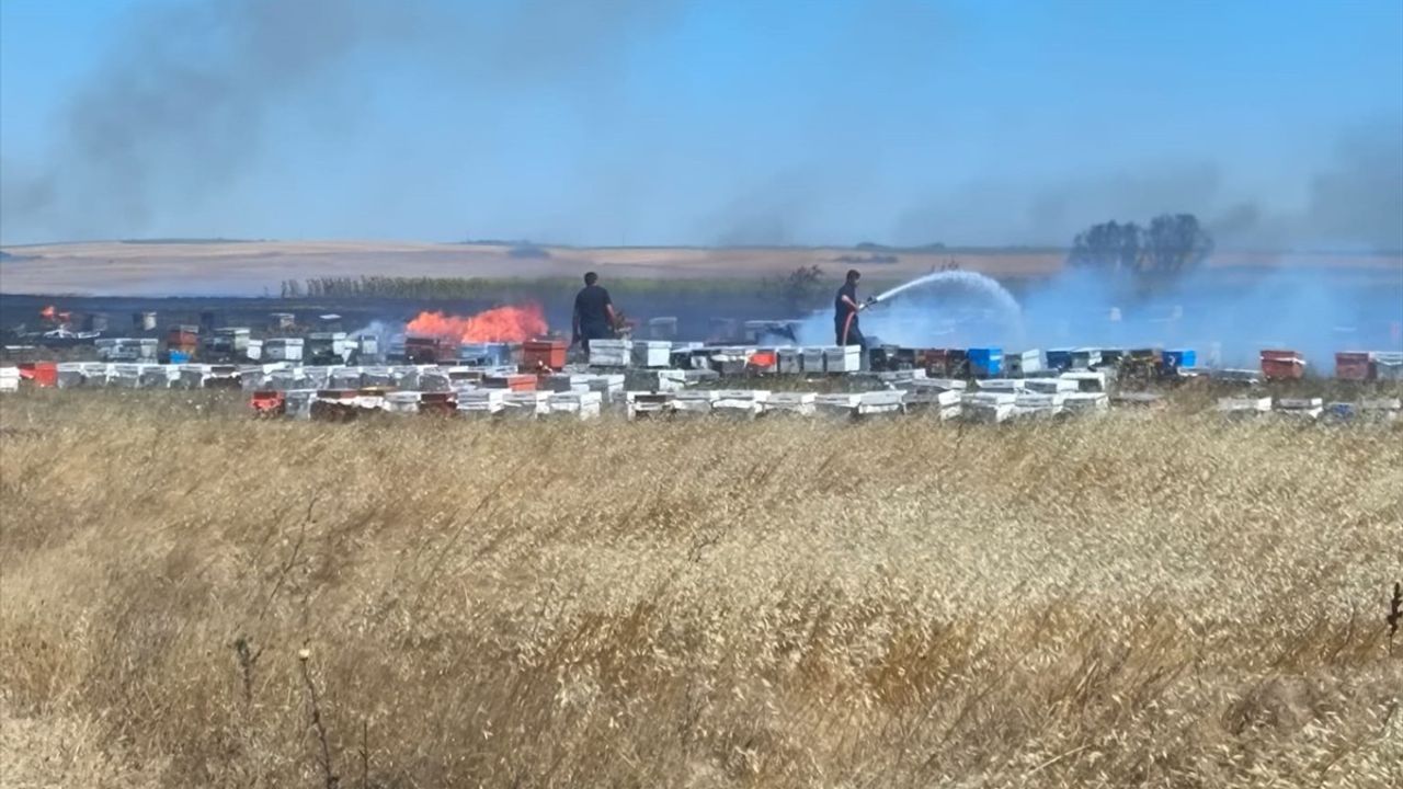 Tekirdağ'daki Anız Yangını Arıcıları Üzdü