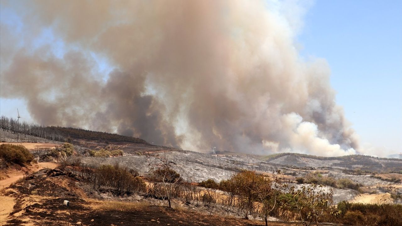 Tekirdağ'daki Yangınla İlgili Bakan Yumaklı'dan Açıklamalar