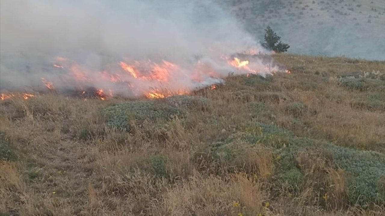 Tokat'ta Anız Yangını: 50 Dönüm Alan Zarar Gördü