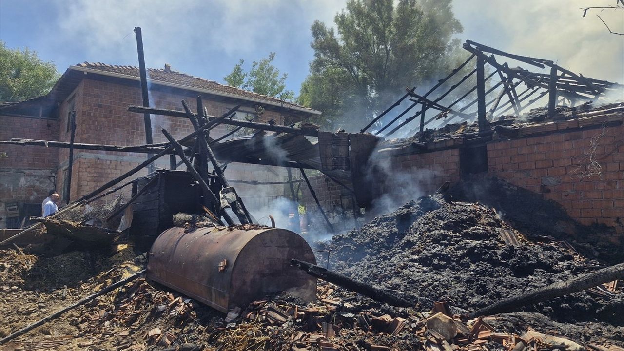 Tokat'ta Yangın: 7 Büyükbaş Hayvan Yok Oldu