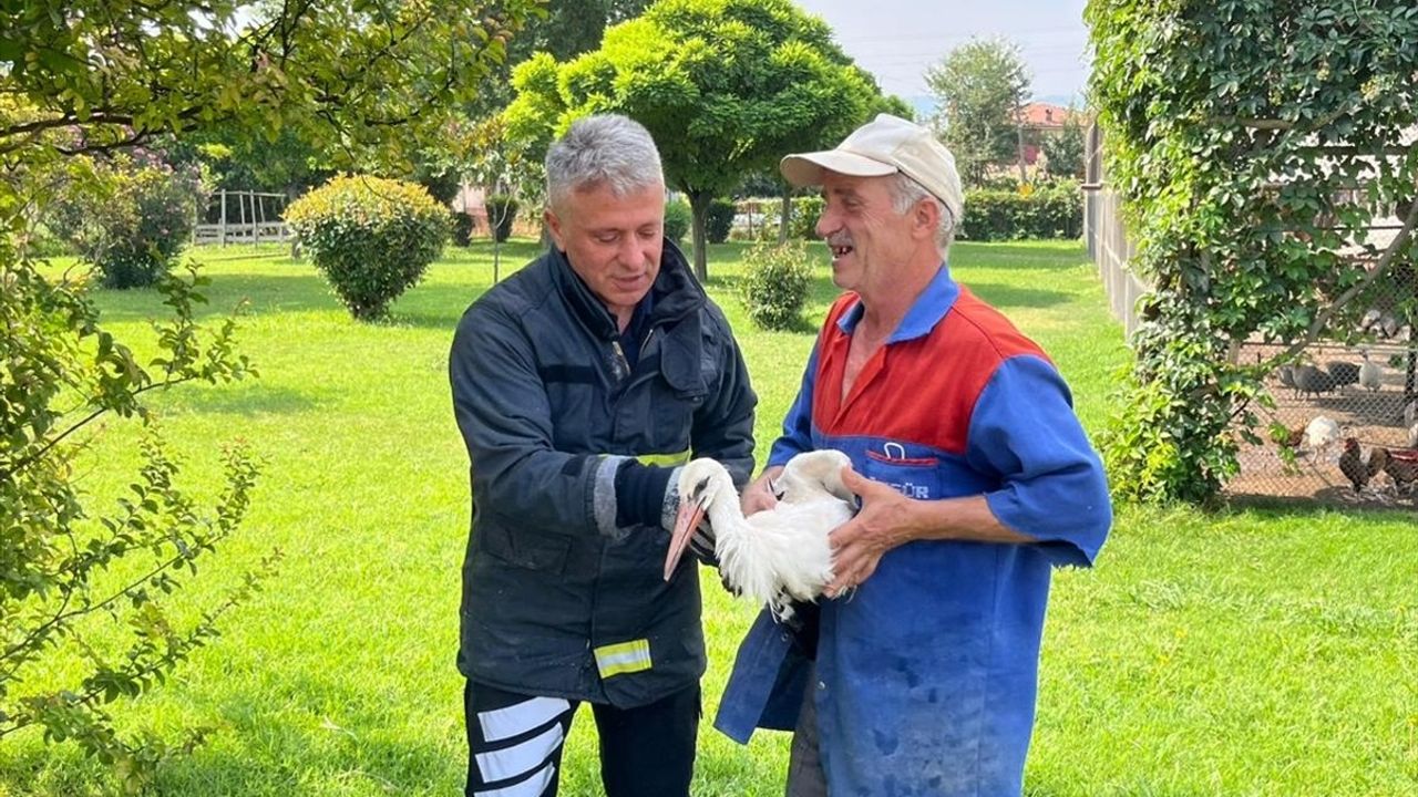 Tokat'ta Yaralı Leylek Kurtarıldı