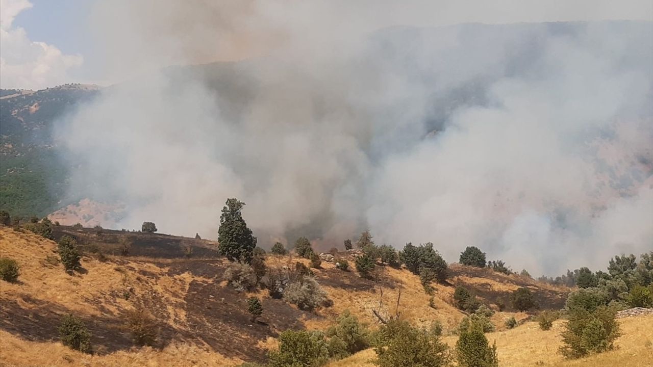 Tunceli'de Orman Yangını: Müdahale Devam Ediyor