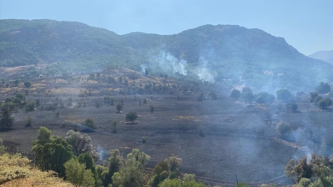Tunceli'de Ortaya Çıkan Yangın Kontrol Altına Alındı