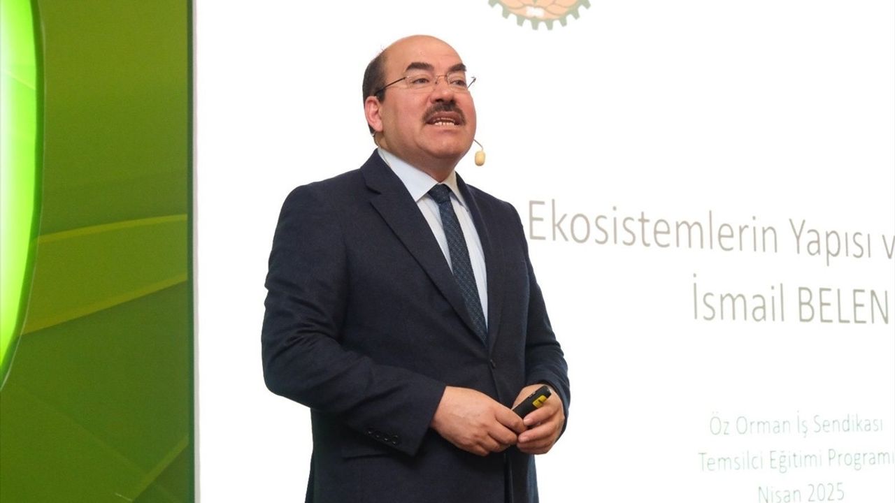Türkiye'nin Orman Varlığı Yükseliyor: 2024 Hedefleri ve Yangınlar Üzerine Değerlendirmeler