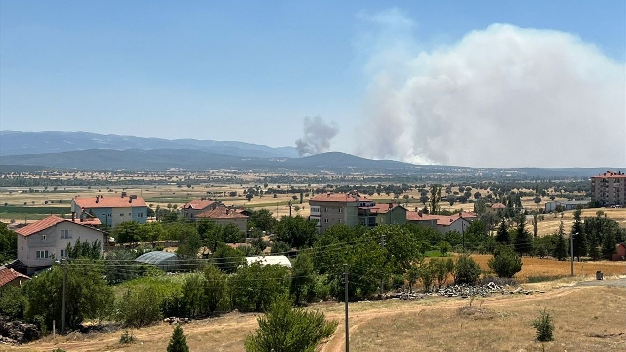 Uşak'ta Meşelik Alandaki Yangına Hızlı Müdahale