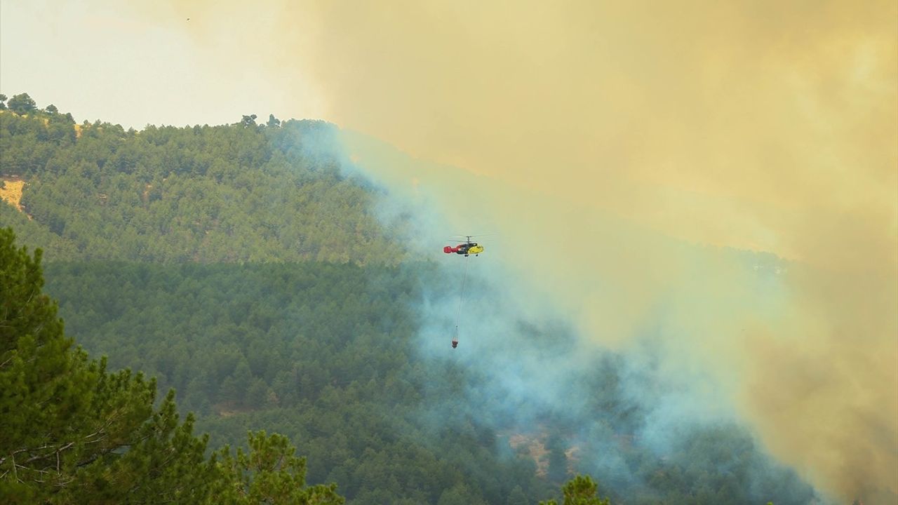 Uşak'ta Orman Yangınına Hızlı Müdahale