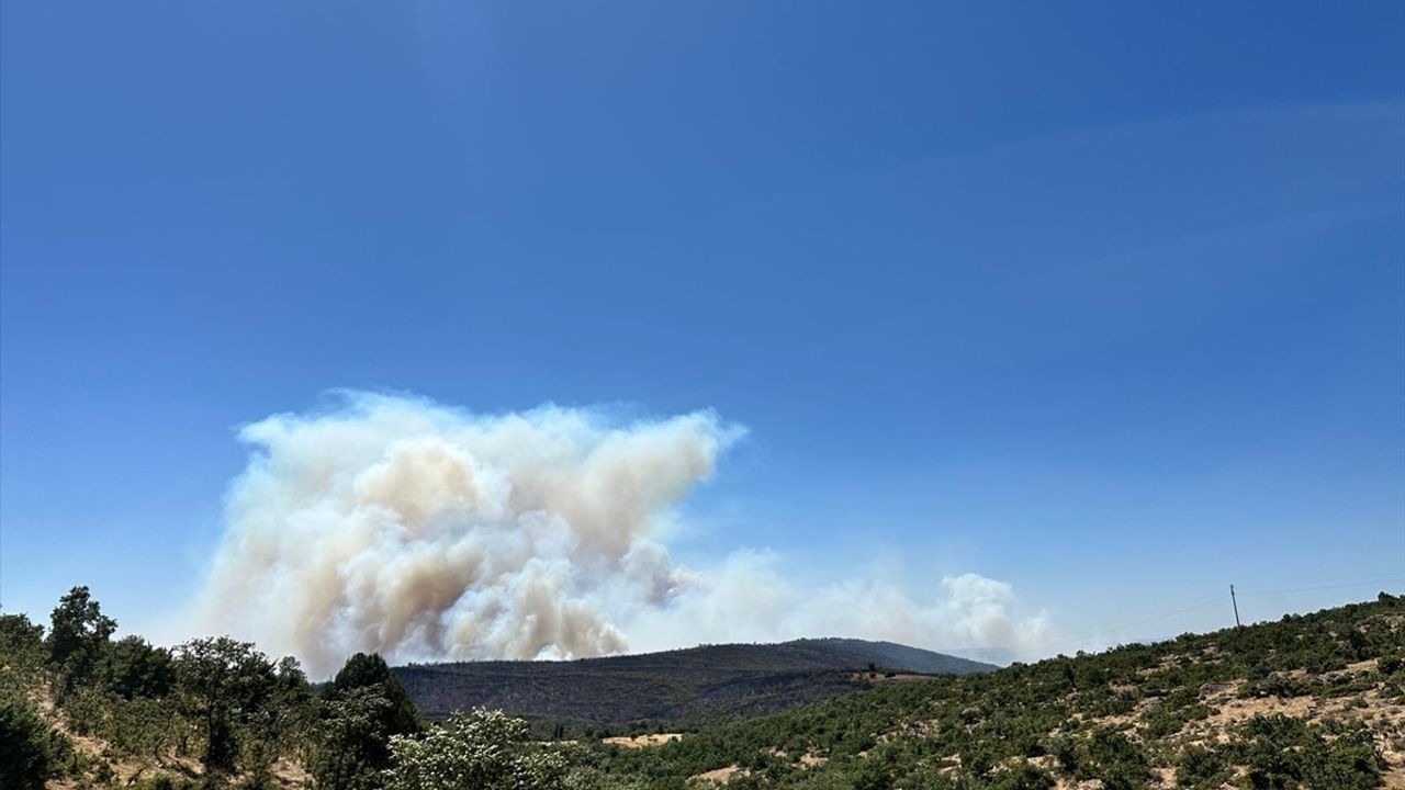 Uşak'taki Orman Yangınına Müdahale Devam Ediyor