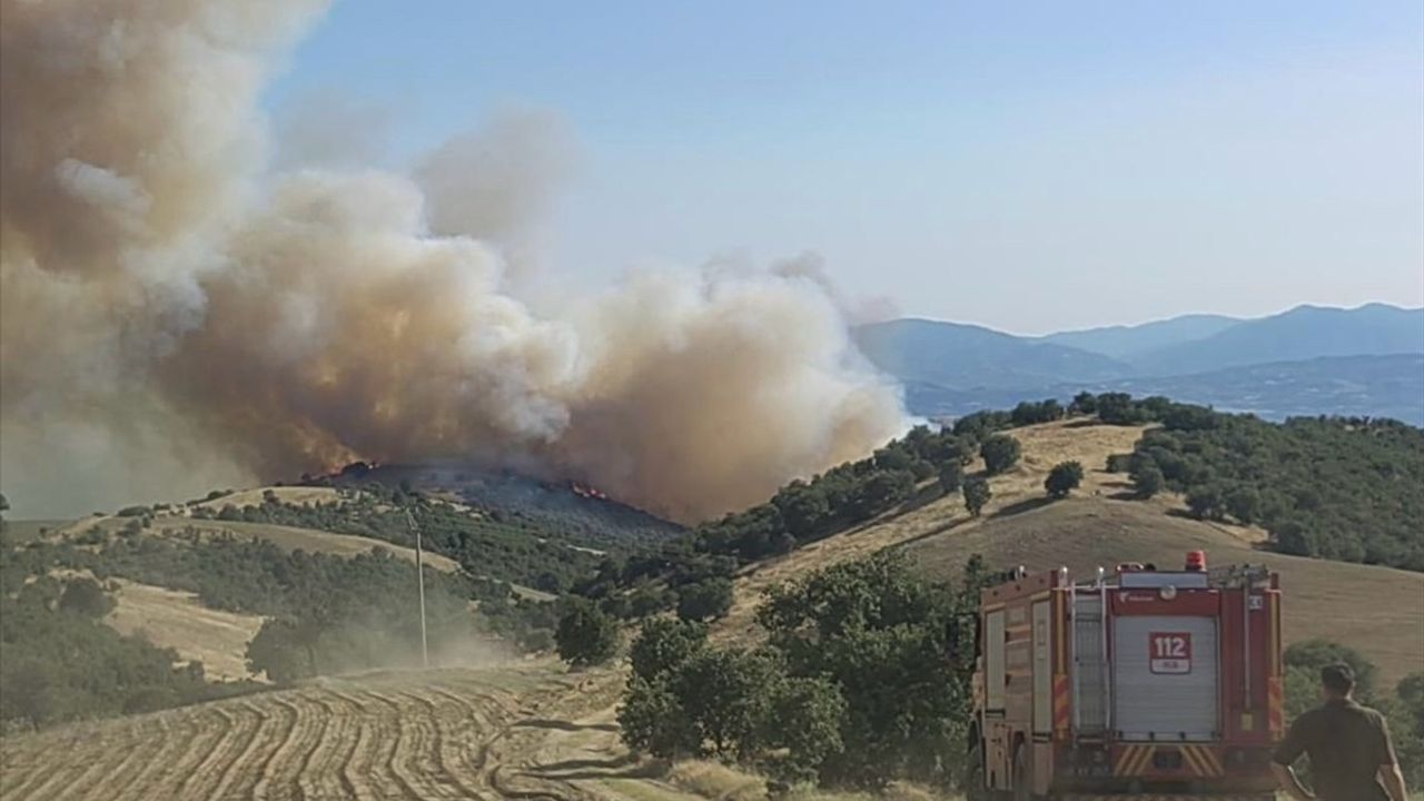 Uşak ve Manisa'daki Yangınlara Hızla Müdahale Ediliyor