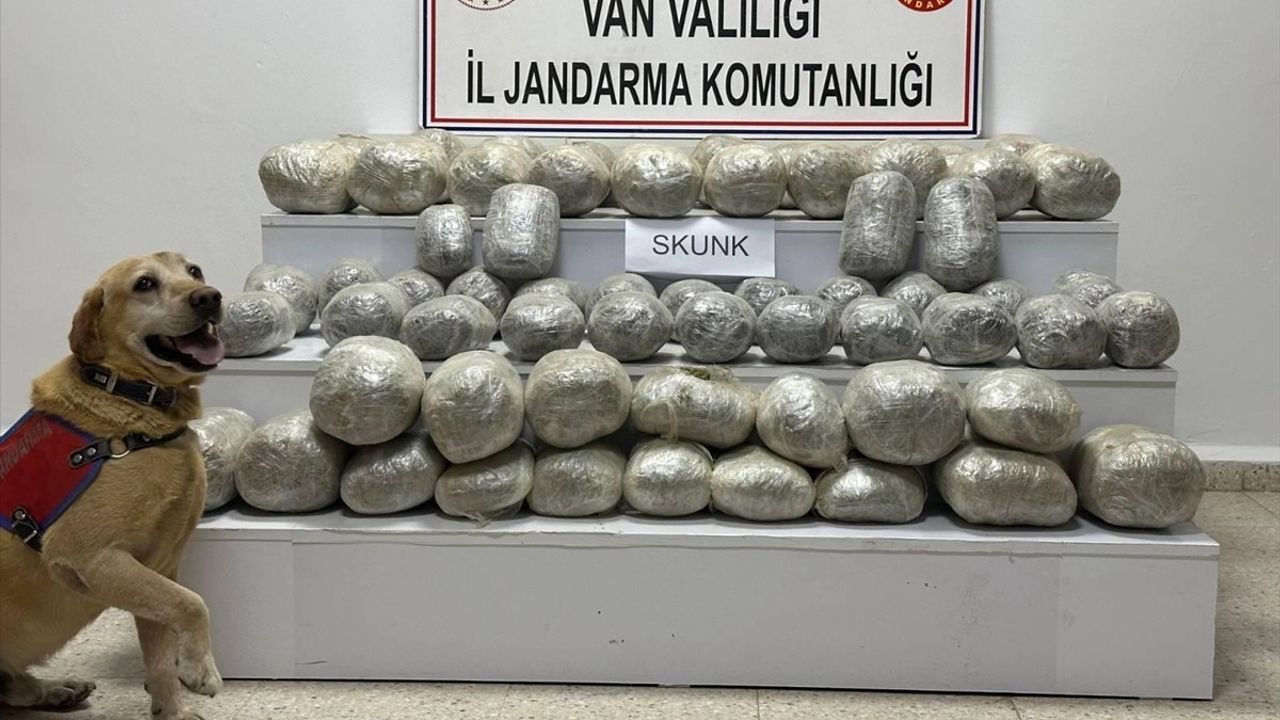 Van'da Katırla Getirilen Uyuşturucu Operasyonu