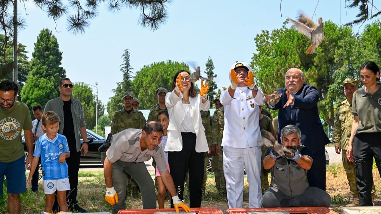 Yalova'da 300 Keklik Doğaya Salındı
