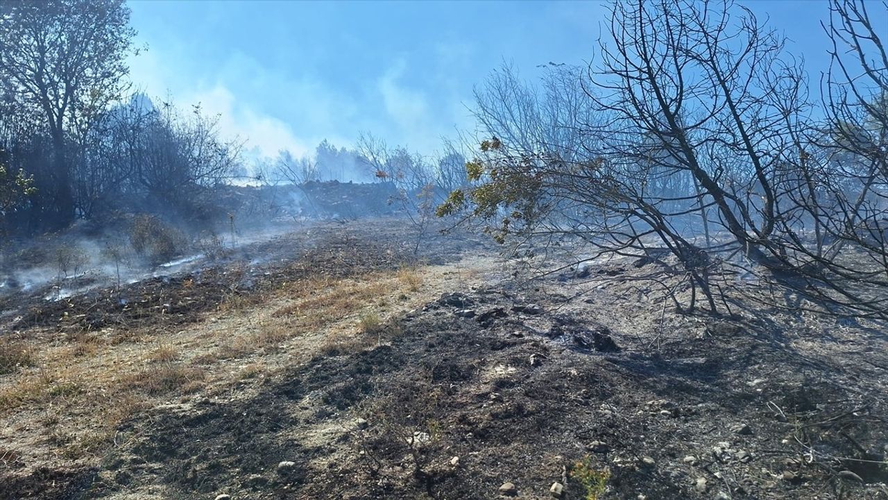 Zonguldak'ta Fındıklıktaki Yangın Kontrol Altına Alındı