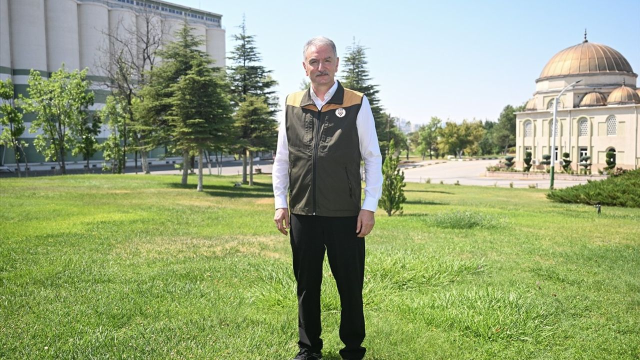 2023 Fındık Rekoltesi Beklentisi: 453 Bin Ton