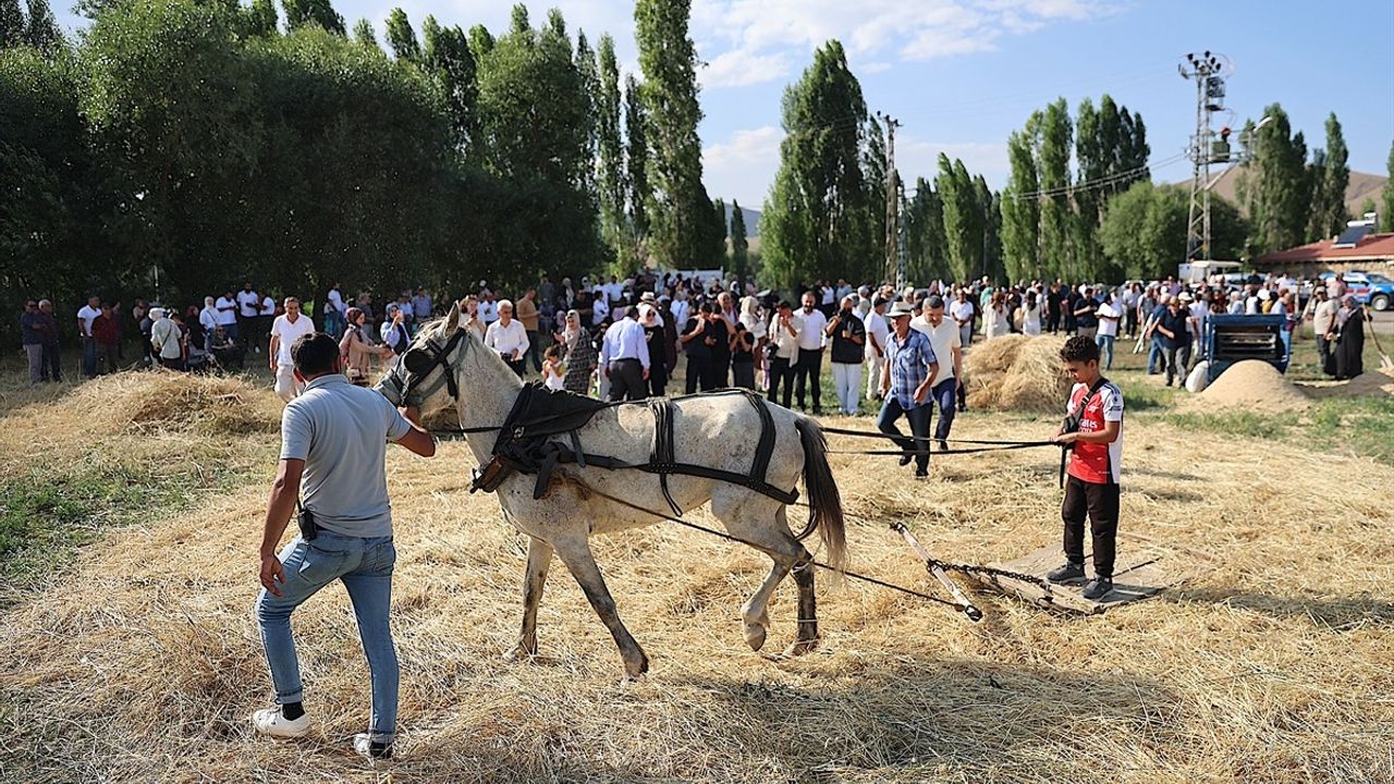 6. Harman Festivali Bayburt'ta Coşkuyla Başladı